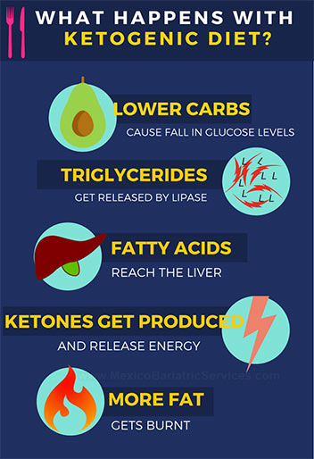 How Ketogenic diet works - infographic